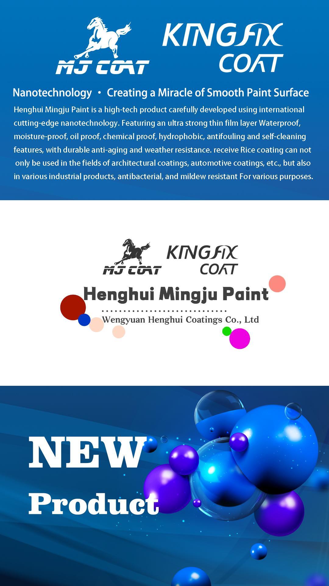 Nano coating paint